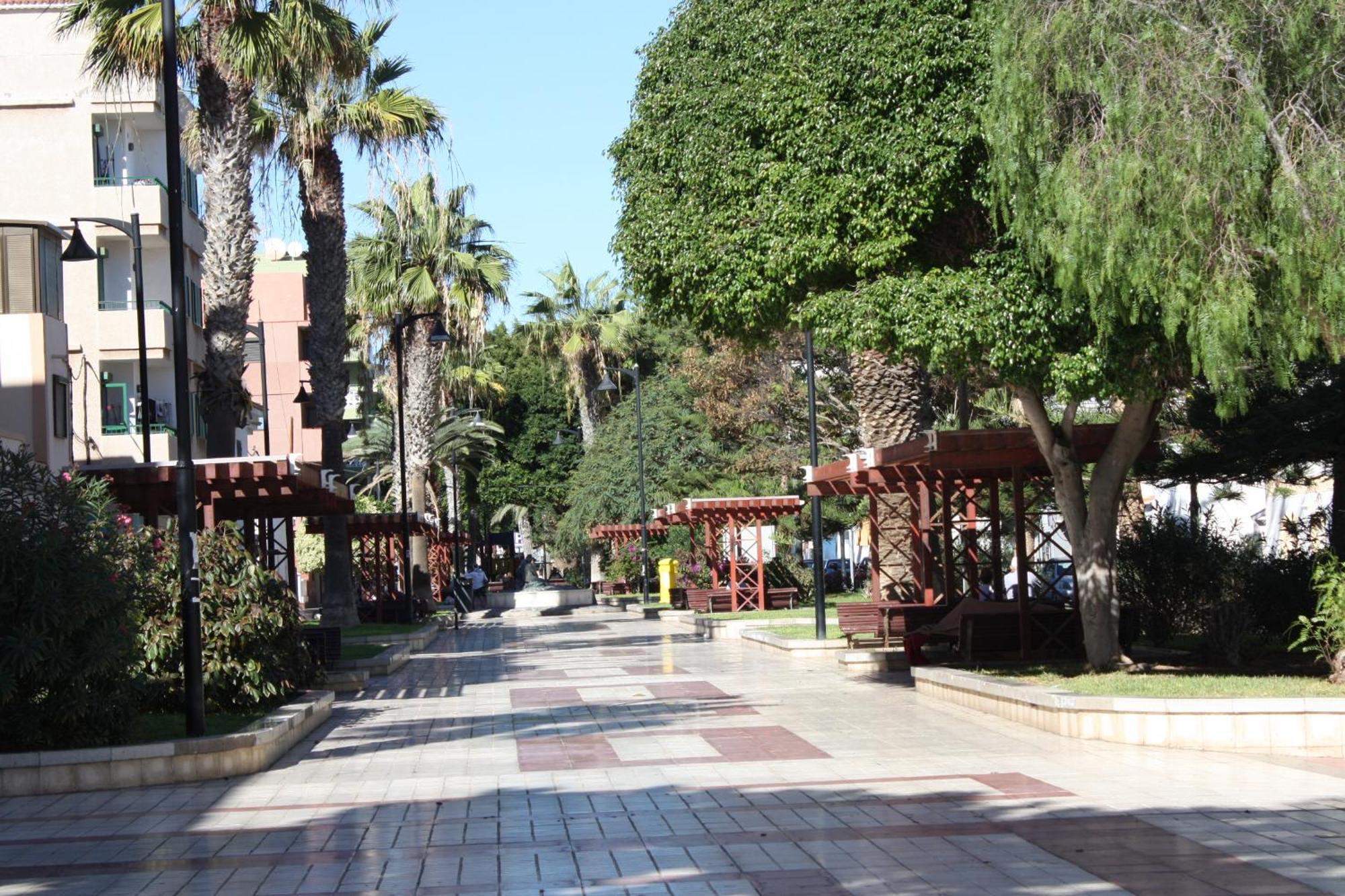 Ferienwohnung Primavera Tenerife Sur Arona  Exterior foto