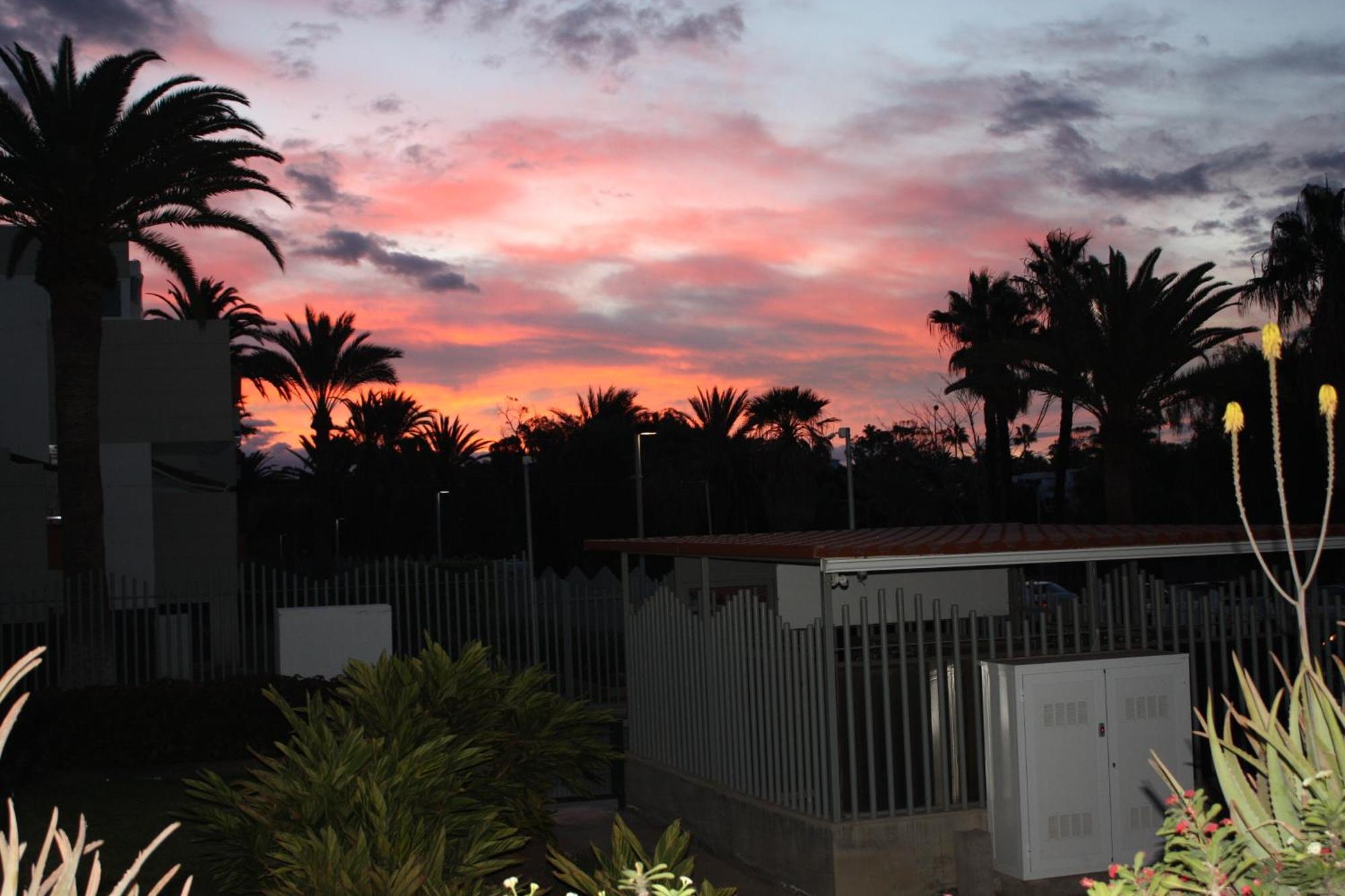 Ferienwohnung Primavera Tenerife Sur Arona  Exterior foto